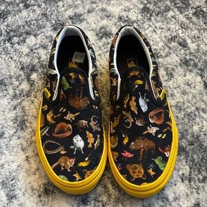 National Geographic Vans